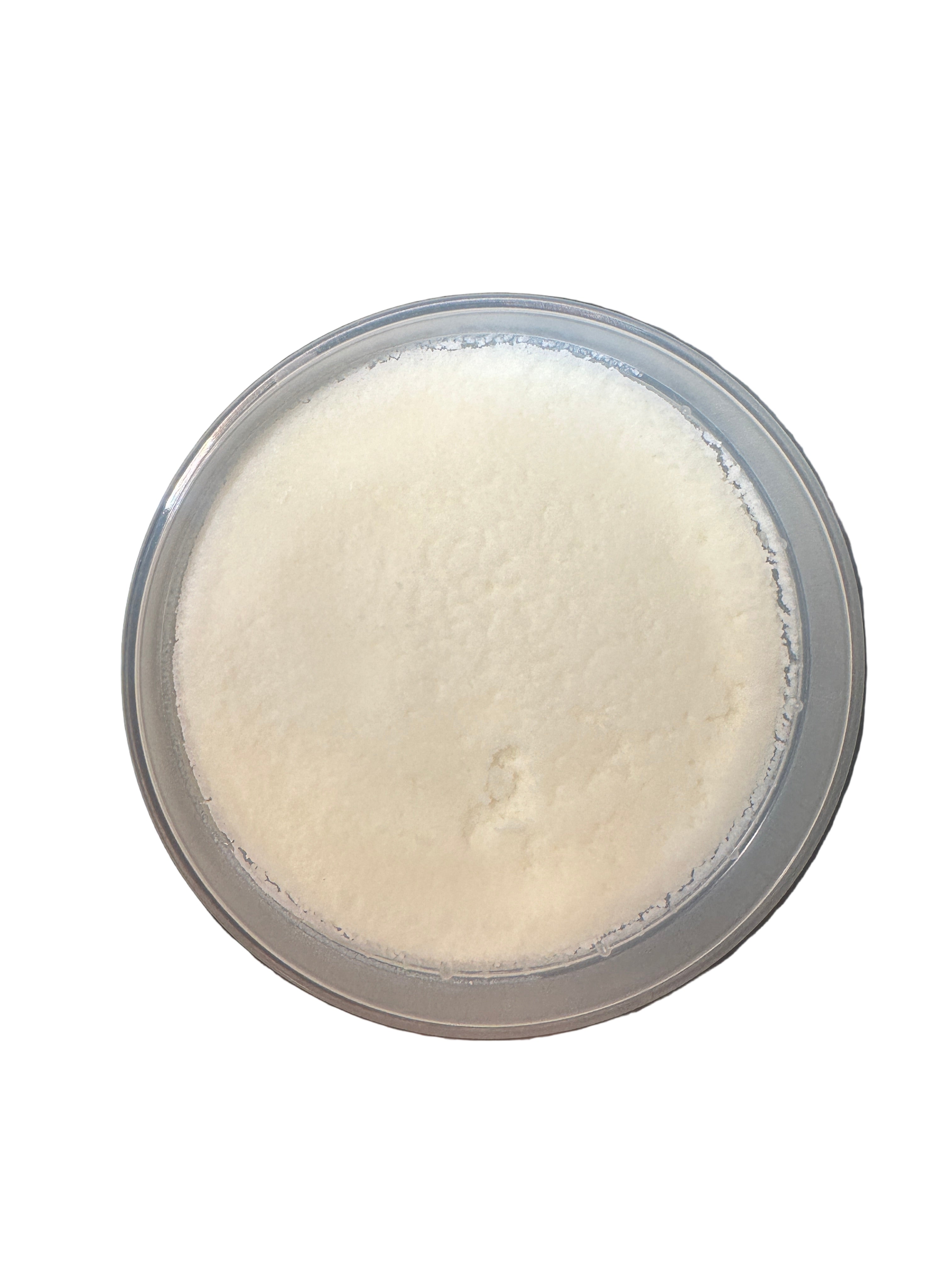 Divine Peace Products 100% Pure Raw Cocoa Butter 8oz Natural Skin Health & Anti-Aging Benefits for Daily Body Care Moisturizers